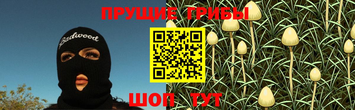 Галлюциногенные грибы Psilocybe  Вход с VPN  Уварово 
